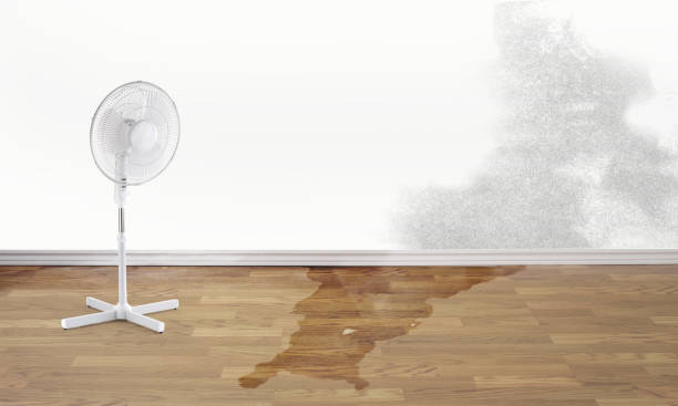 Best Commercial water damage restoration  in Milwaukie, OR