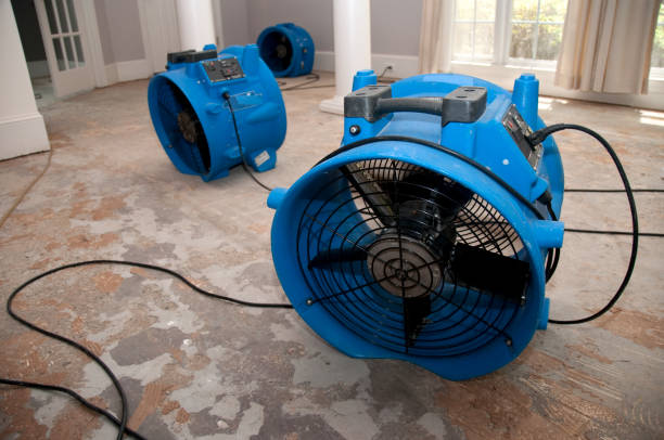 Best Flood restoration services  in Milwaukie, OR