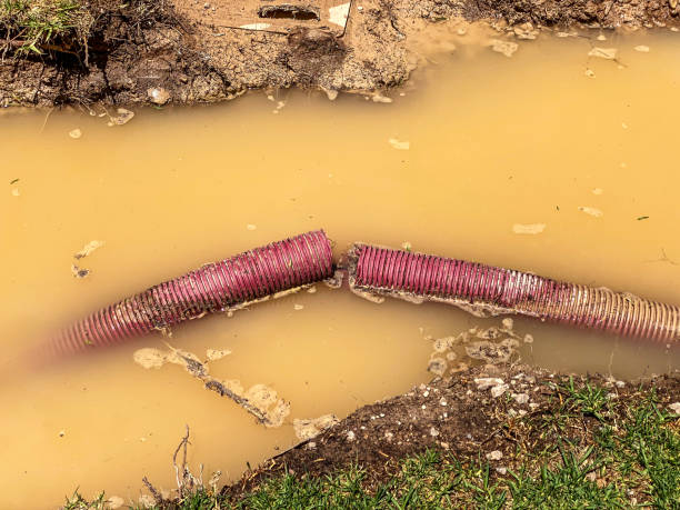 Best Professional water damage repair  in Milwaukie, OR